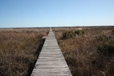 Image de Ground Floor Ocean Front 2 Bedroom Villa, Golf Cart Included 413 Captain John Fripp
