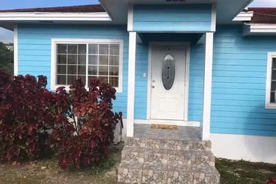 Image de Trésors tropicaux vivants