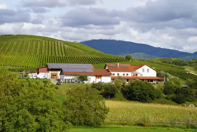 Image de Vacances à la cave