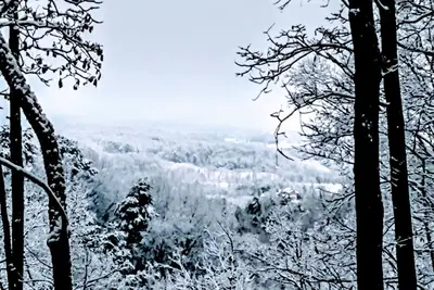 Image de Cabine isolée, à seulement 10 minutes de Dollywood, bain à remous privé!