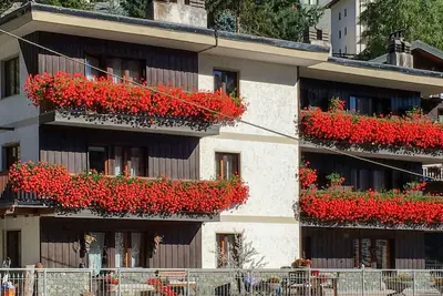 Image de Bel appartement pour 4 personnes avec Wifi, Tv, terrasse, animaux admis et parking