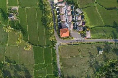 Image de Super emplacement au milieu des rizières