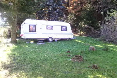 Image de Caravane en bordure de forêt. . .