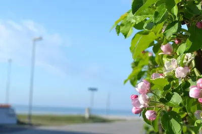 Appartement de vacances près de la plage