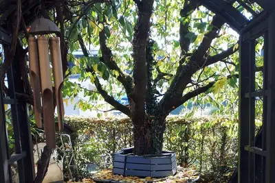 Image de Appartement, 78m², 3 chambres, max. 4 personnes