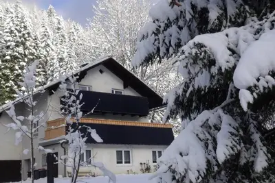 Image de Appartement confortable (50m2) avec cuisine