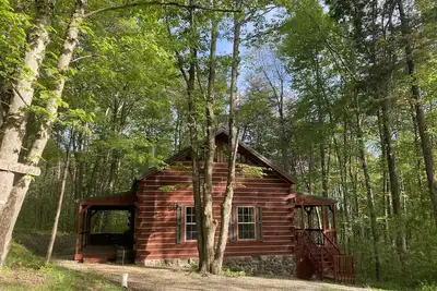 Image de Rustic Chic Getaway Cabin équipé d'un bain à remous à proximité des parcs d'État et nationaux!