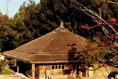 Chalet Mimosa Roumanie.