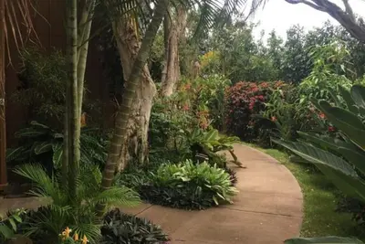 Image de Molokai 3 nuits minimum Paniolo Hale D3 Oceanview 1b / 2bt Townhouse