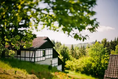 Image de Vacation home for 7 guests with 95m² in Daun (125775)