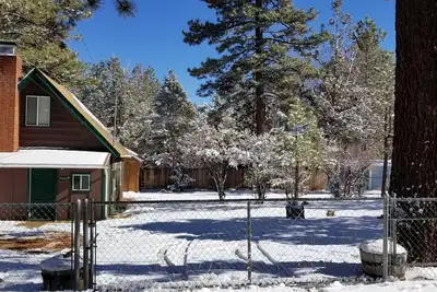 Image de The Bear Escape - Cabine privée parmi les grands arbres