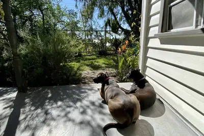 Image de 3 min walk to front beach, Woolworths - pets welcome  - best location in Rye