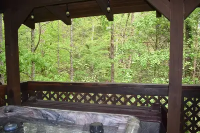 Image de Hot Tub, Pool Table, Air Hockey, Arcade!