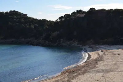 Image de Orchidea - 043 Orchidea 1°P.