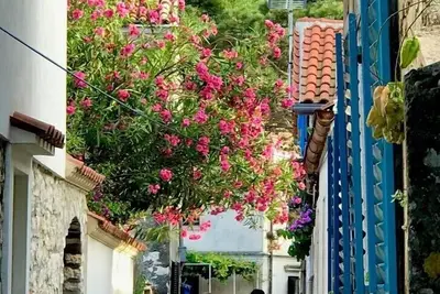 Image de Authentic  ‘Vila Nona’  by Nyc Interior Architect