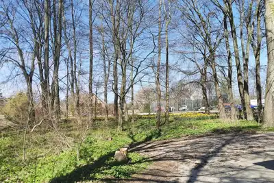 Image de Vacation apartment/apartment for 8 guests with 120m² in Kellenhusen (2157)