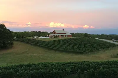 Image de CeNita Vineyards & Winery and Venue Views - Located Next to Winery