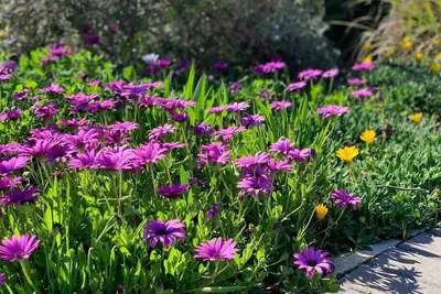 Image de Our most popular home. Your family and staff will love it here! Bed & bath linen hire included. Unlimited Nbn Wifi internet.