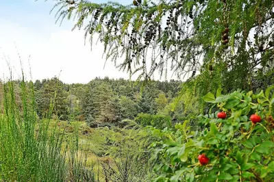 Image de Modern Holiday Home in Brovst with Hot Tub