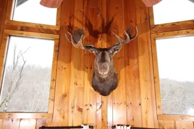 Image de Bullwinkle Inn' private dock, hot tub, quiet water