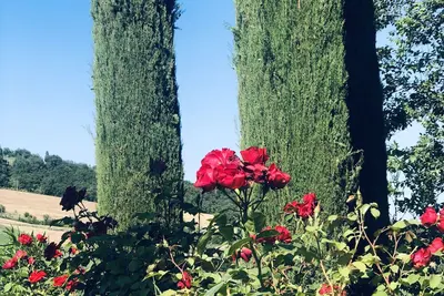 Image de Villa Bella Rosa
