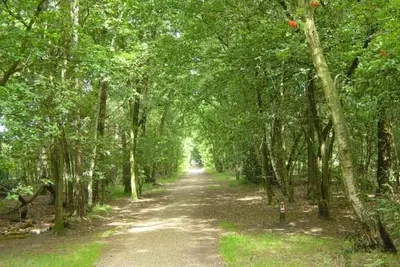 Image de Group Accommodation 50 m From the Oosterschelde