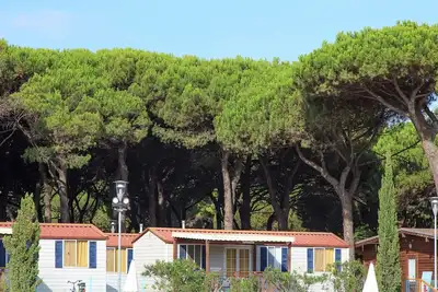 Image de Nice Chalet in Pine Forest near Adriatic Sea