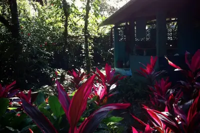 Image de Paradiso Privado! (floresta 1. 5km da praia)