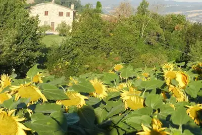 Image de The Sunflower apartment
