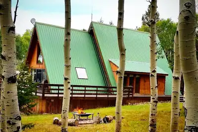 Image de Quiet Aspen forest with a Mountain View.