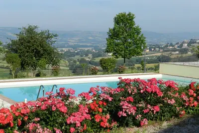 Image de The Olive Tree Apartment