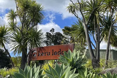 Image de Moana Apartment with Bush Views and near Surf