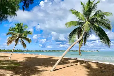 Image de Awesome Rainforest Beach Condo. Private Beach Gate. Great Rates. Guest Favorite!