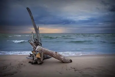 Image de Lake Huron - 1 Bedroom 1 Bath Lake Front Cabin - Sleeps 4