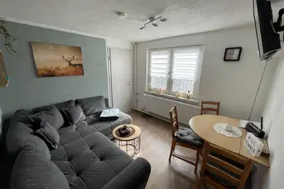 Image de Appartement de vacances Elbingerode pour 1 - 3 personnes avec 2 chambres à coucher - Maison de vacan