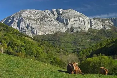 Maison de vacances San Martin de Teverga pour 1 - 5 personnes avec 2 chambres à coucher - Maison jum