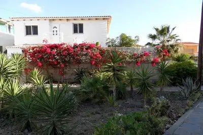 Image de Appartement de vacances Arona pour 1 - 2 personnes avec 1 chambre à coucher - Maison mitoyenne