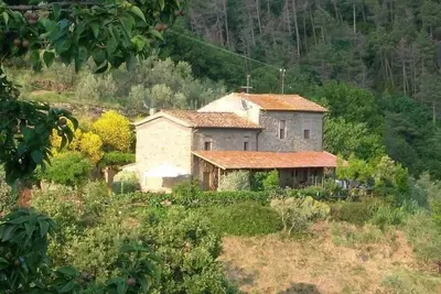 Image de Maison de vacances Lamporecchio pour 1 - 6 personnes avec 3 chambres à coucher - Ferme
