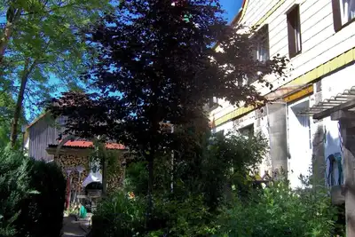Image de Appartement de vacances Tanne pour 2 - 4 personnes avec 2 chambres Ă coucher - Maison de vacances