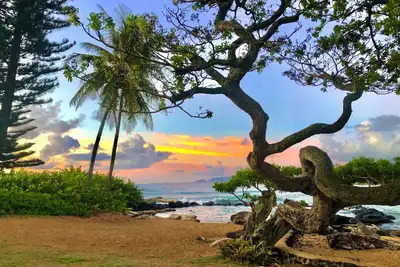 Image de Plage de sable, propriété en bord de mer située sur la Côte de Coconut de Kauai.