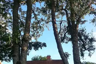 Image de Maison de vacances Oskarshamn pour 1 - 4 personnes avec 2 chambres Ă coucher - Maison de vacances
