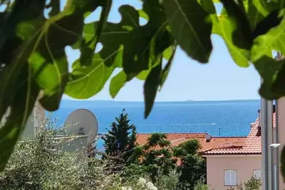 Image de Appartement de vacances pour 4 personnes env. 51 qmà Novalja, Dalmatie (Îles de Zadar)