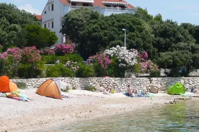 Image de Appartement de vacances Mandre pour 1 - 2 personnes avec 1 chambre à coucher - Logement de vacances