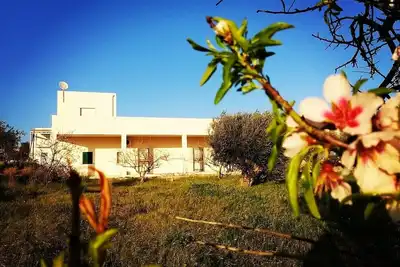 Image de Beautiful Villa in Sicily facing the sea of Cava d'Aliga