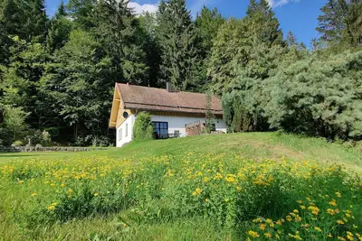 Image de Vacation in the forest - experience nature