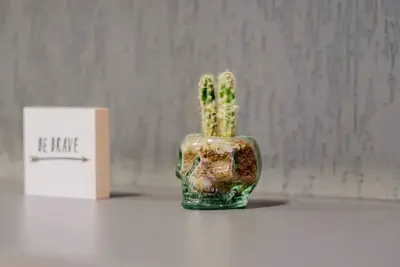 Image de Conforto e bom Gosto, ótima Localização