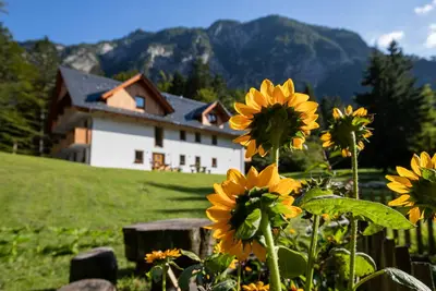 Image de Apartments Goldhorn Kingdom