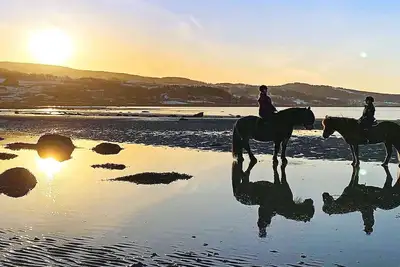 Image de Maison de vacances pour 6 a Hamnvik