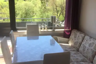 Vacation apartment Schamei with infrared fireplace, in the middle of nature