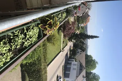 Image de Great view in the Black Forest